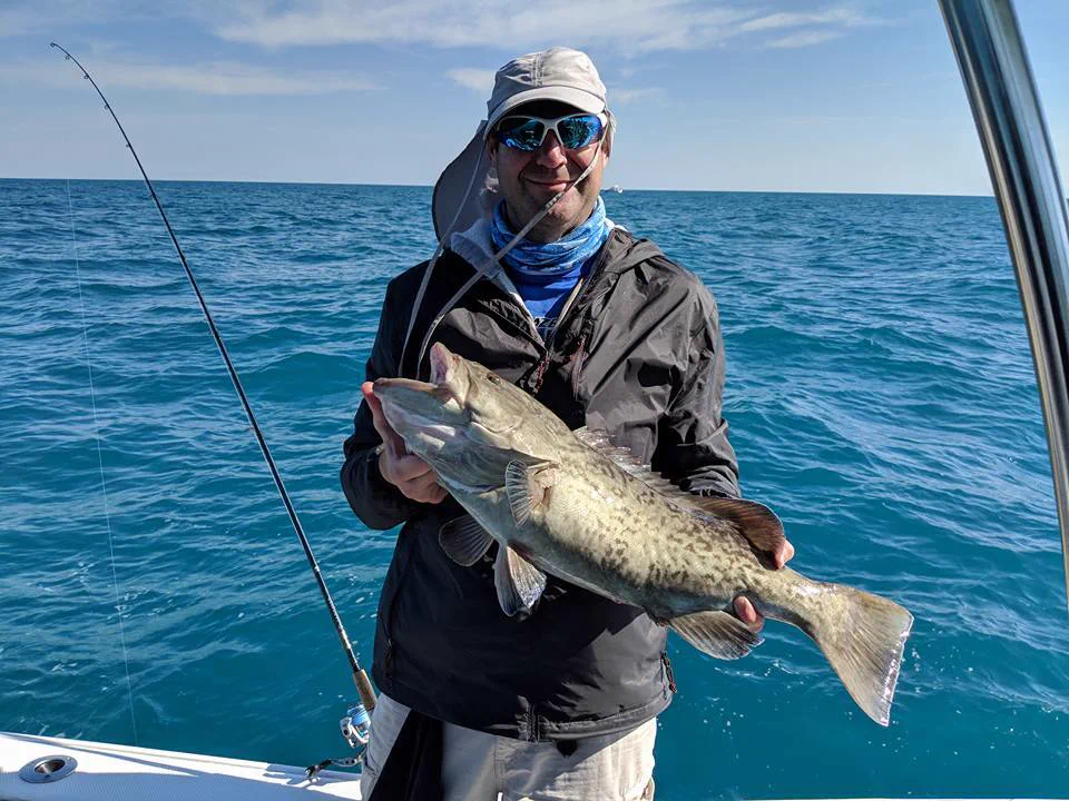Angler holding a gag grouper caught on a nearshore offshore fishing charter