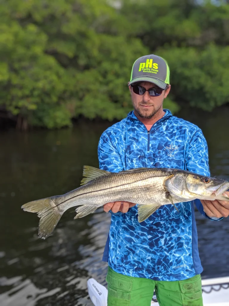 Angler holding a snook in the mangroves on an inshore fishing charter