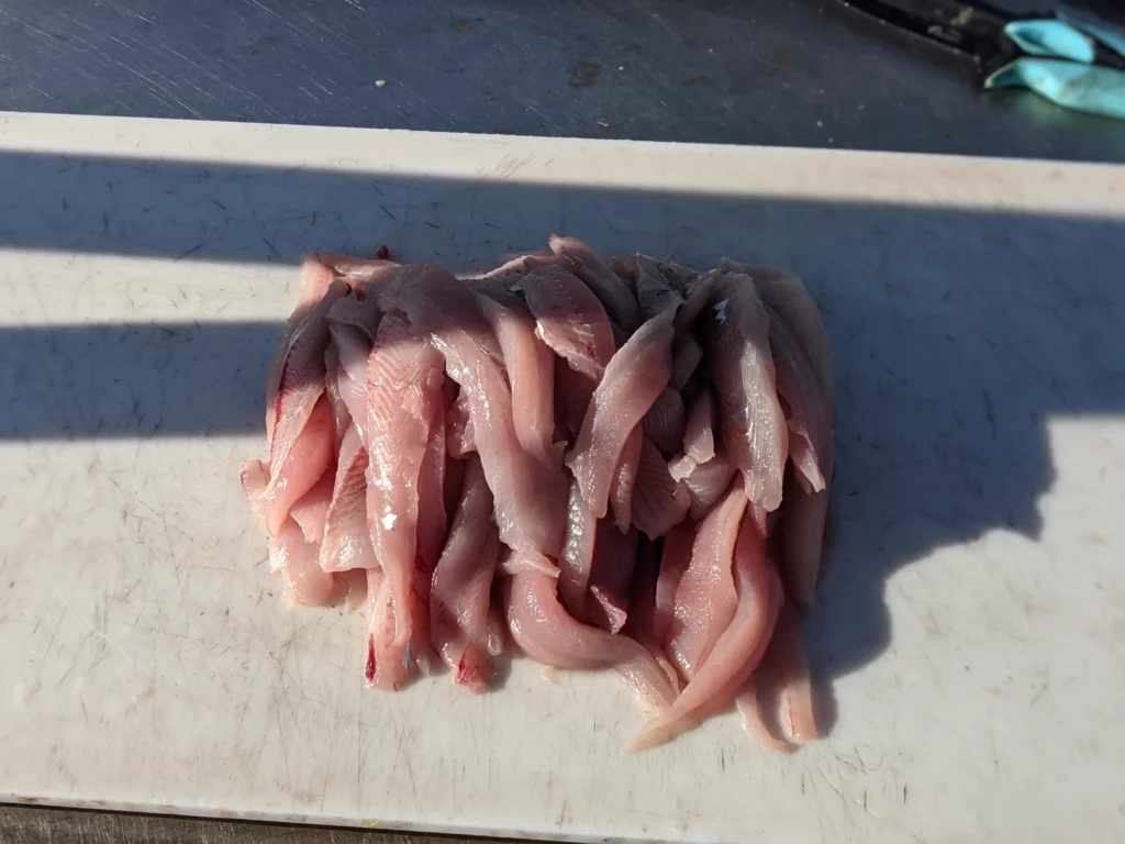 Fresh fish fillets on the cleaning board after a fishing charter