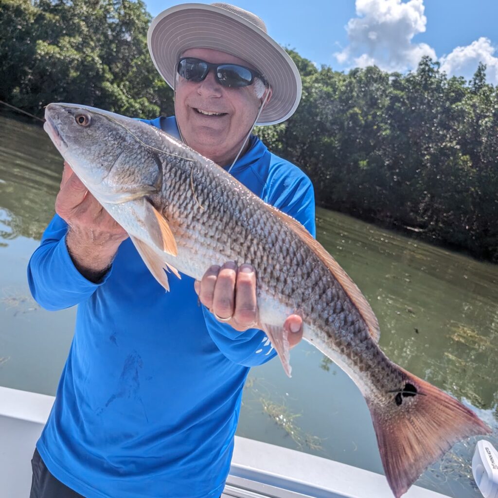 Angler holding a large redfish on an inshore charter