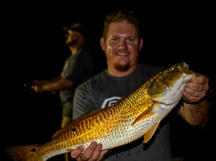 Angler holding a big redfish at night on a Tampa Bay night fishing charter