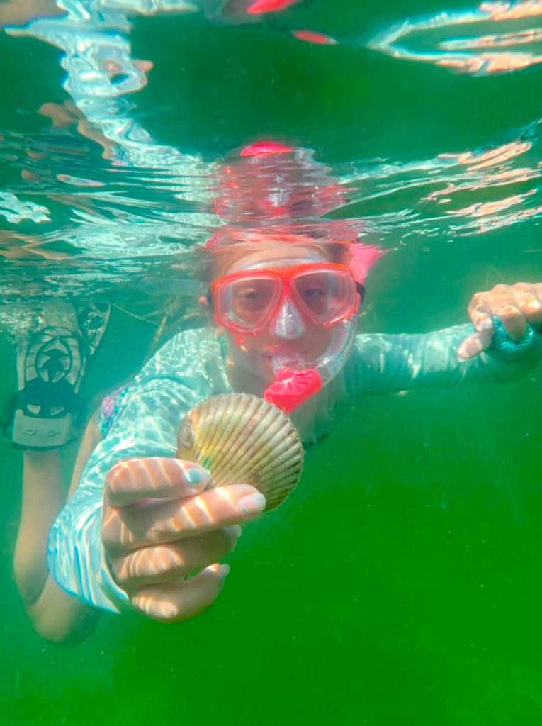 Child snorkeling and holding up a bay scallop on a scalloping charter