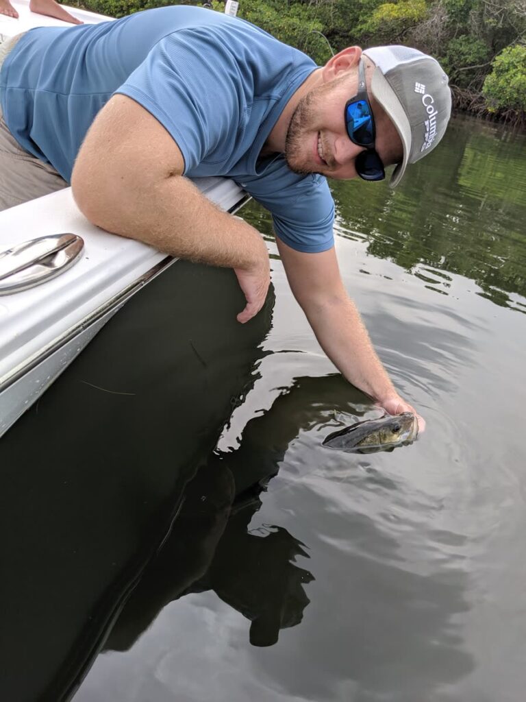 Angler releasing a snook boatside during the summer snook closure in Tampa Bay