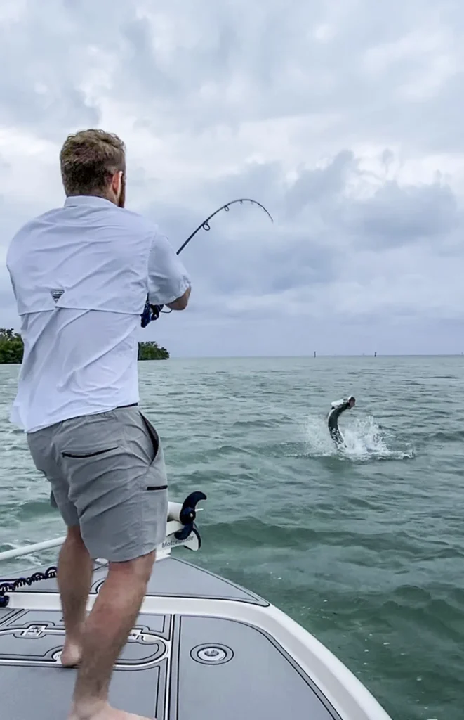Tarpon jumping behind the boat with the angler hooked up on a Tampa Bay tarpon charter
