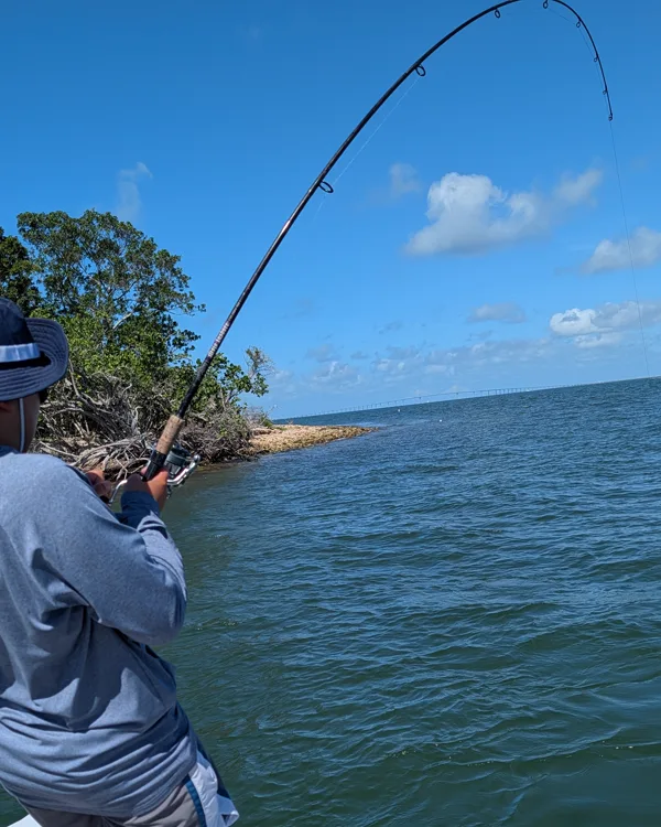 A guest fighting a fish on the bow of an Aquatic Escapes boat with the rod bent over